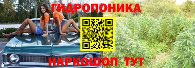 шишки Ставрополь