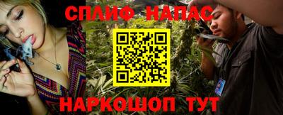 шишки Ставрополь