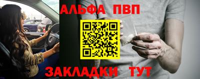 шишки Ставрополь