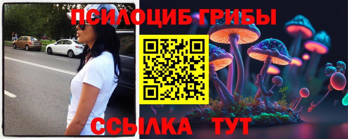 Псилоцибиновые грибы Psilocybine cubensis Курск